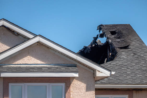 Top rated local Fire Damage Removal specialists in Lambertville, NJ